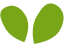 https://perchandpebble.com/wp-content/uploads/2022/04/green_leaf.png