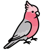 https://perchandpebble.com/wp-content/uploads/2026/09/Untitled-2.png