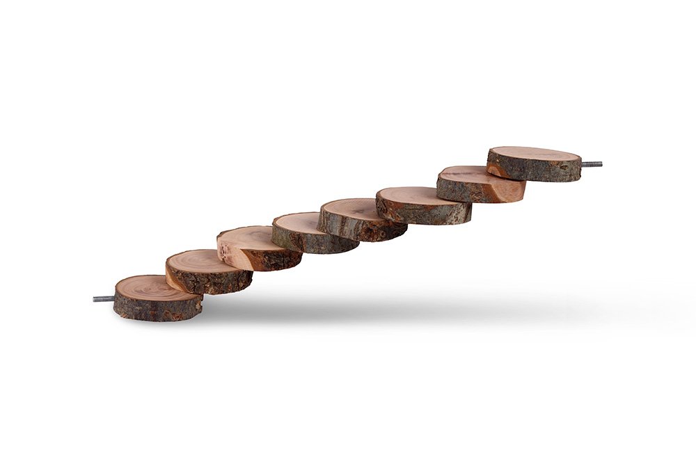 Wood Steps Bird Toy
